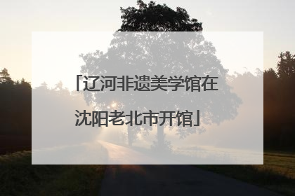 辽河非遗美学馆在沈阳老北市开馆