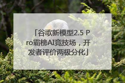谷歌新模型2.5 Pro霸榜AI竞技场，开发者评价两极分化