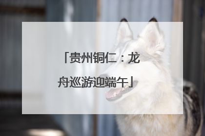 贵州铜仁：龙舟巡游迎端午