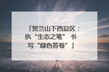 贺兰山下西夏区：执“生态之笔” 书写“绿色答卷”