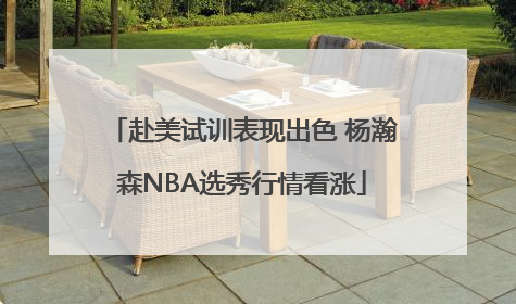 赴美试训表现出色 杨瀚森NBA选秀行情看涨