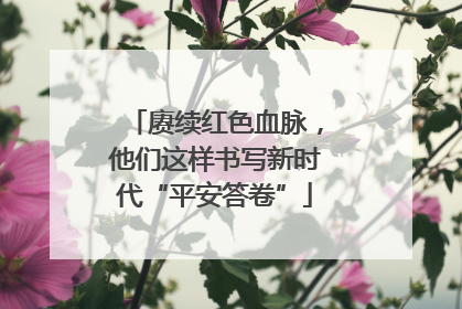 赓续红色血脉，他们这样书写新时代“平安答卷”