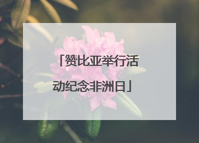 赞比亚举行活动纪念非洲日