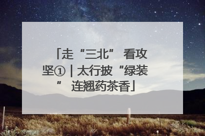走“三北” 看攻坚①｜太行披“绿装” 连翘药茶香