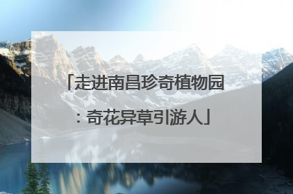 走进南昌珍奇植物园：奇花异草引游人