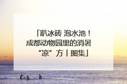 趴冰砖 泡水池！成都动物园里的消暑“凉”方丨图集