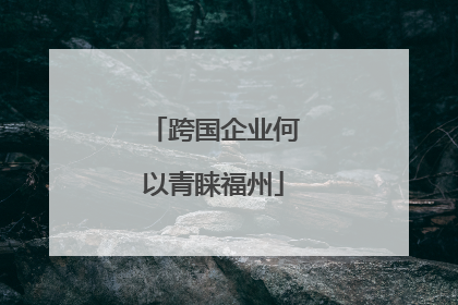 跨国企业何以青睐福州