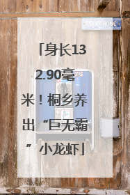 身长132.90毫米！桐乡养出“巨无霸”小龙虾