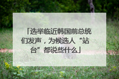 选举临近韩国前总统们发声，为候选人“站台”都说些什么