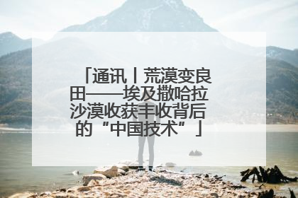 通讯丨荒漠变良田——埃及撒哈拉沙漠收获丰收背后的“中国技术”