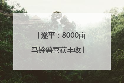 遂平：8000亩马铃薯喜获丰收