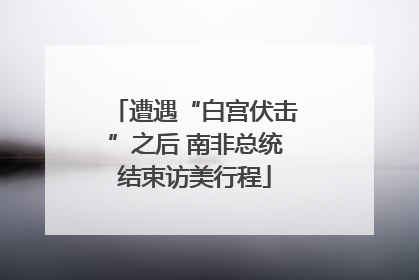 遭遇“白宫伏击”之后 南非总统结束访美行程
