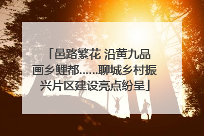 邑路繁花 沿黄九品 画乡鲤都……聊城乡村振兴片区建设亮点纷呈