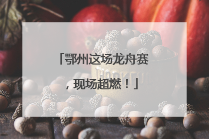 鄂州这场龙舟赛，现场超燃！