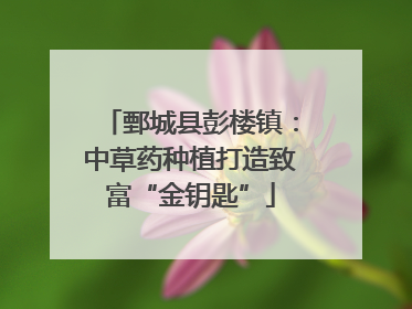 鄄城县彭楼镇：中草药种植打造致富“金钥匙”