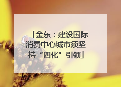 金东：建设国际消费中心城市须坚持“四化”引领