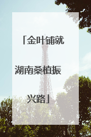 金叶铺就湖南桑植振兴路