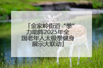 金家岭街道“拳”力助阵2025年全国老年人太极拳健身展示大联动