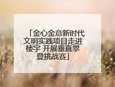 金心金意新时代文明实践项目走进楼宇 开展垂直攀登挑战赛