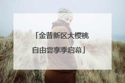 金普新区大樱桃自由尝享季启幕