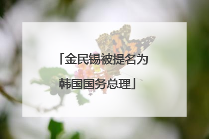 金民锡被提名为韩国国务总理