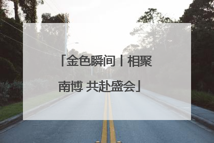 金色瞬间丨相聚南博 共赴盛会