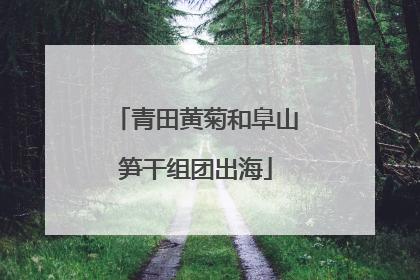 青田黄菊和阜山笋干组团出海