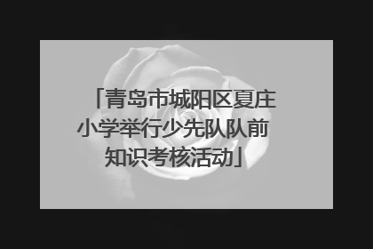 青岛市城阳区夏庄小学举行少先队队前知识考核活动
