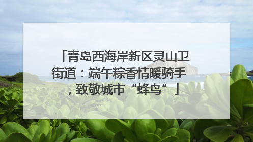 青岛西海岸新区灵山卫街道：端午粽香情暖骑手，致敬城市“蜂鸟”