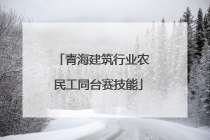 青海建筑行业农民工同台赛技能