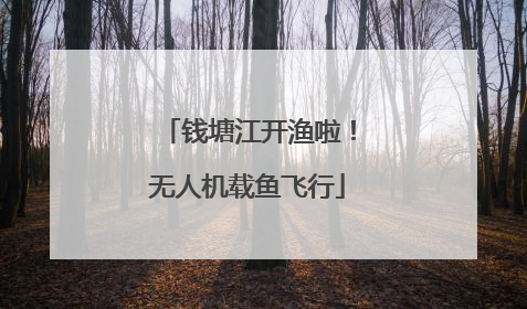 钱塘江开渔啦！无人机载鱼飞行