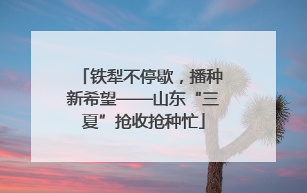 铁犁不停歇，播种新希望——山东“三夏”抢收抢种忙