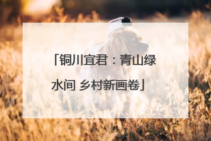 铜川宜君：青山绿水间 乡村新画卷