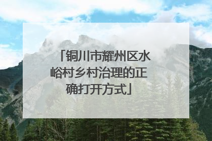 铜川市耀州区水峪村乡村治理的正确打开方式