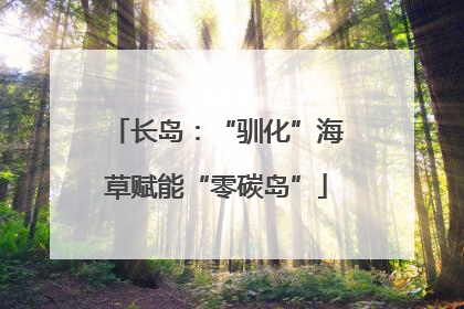 长岛：“驯化”海草赋能“零碳岛”
