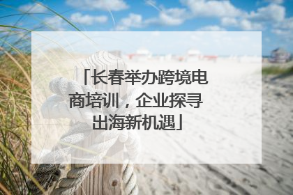 长春举办跨境电商培训，企业探寻出海新机遇