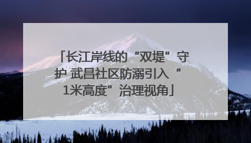 长江岸线的“双堤”守护 武昌社区防溺引入“1米高度”治理视角