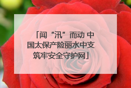 闻“汛”而动 中国太保产险丽水中支筑牢安全守护网