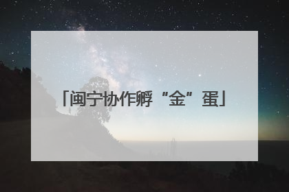 闽宁协作孵“金”蛋