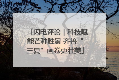 闪电评论｜科技赋能芒种胜景 齐鲁“三夏”画卷更壮美