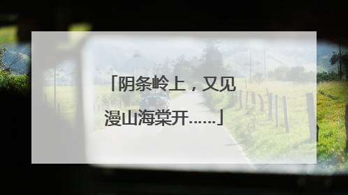 阴条岭上，又见漫山海棠开……