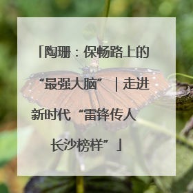 陶珊：保畅路上的“最强大脑”｜走进新时代“雷锋传人 长沙榜样”