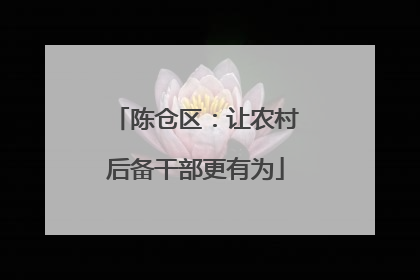 陈仓区：让农村后备干部更有为
