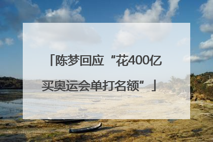 陈梦回应“花400亿买奥运会单打名额”