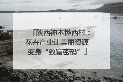 陕西神木铧西村：花卉产业让美丽资源变身“致富密码”