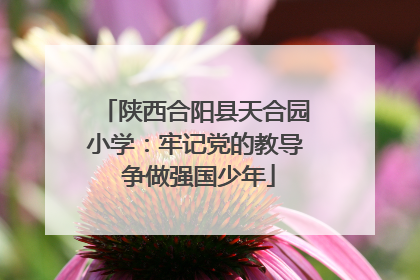 陕西合阳县天合园小学：牢记党的教导 争做强国少年