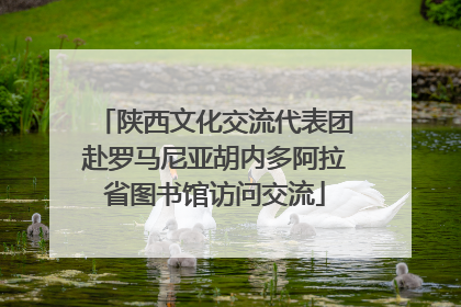 陕西文化交流代表团赴罗马尼亚胡内多阿拉省图书馆访问交流