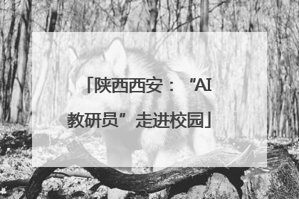 陕西西安：“AI教研员”走进校园