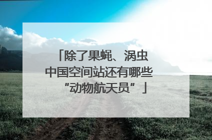 除了果蝇、涡虫 中国空间站还有哪些“动物航天员”