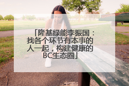 隆基绿能李振国：找各个环节有本事的人一起，构建健康的BC生态圈